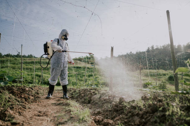 Best Commercial Pest Control Services  in Stonybrook, PA