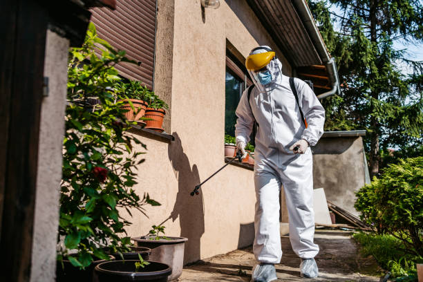 Wasp Removal Services in Stonybrook, PA