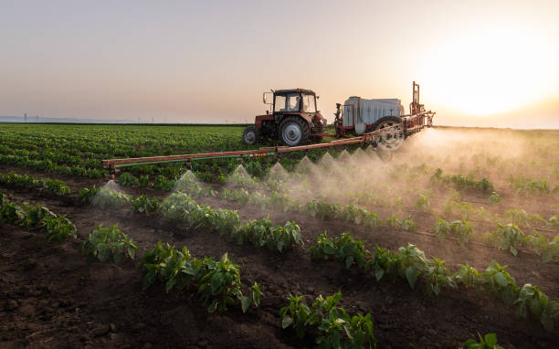 Best Mosquito Control Services  in Stonybrook, PA