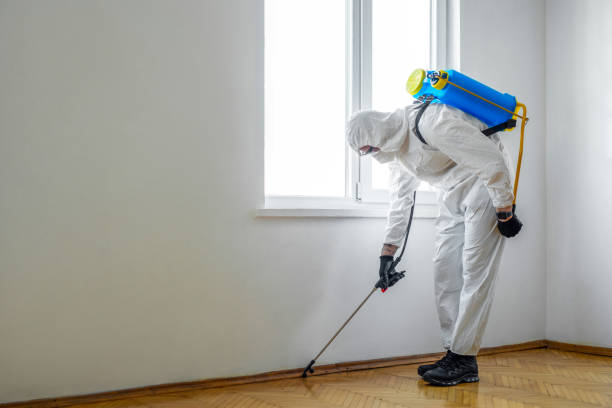 Best Pest Removal Services  in Stonybrook, PA