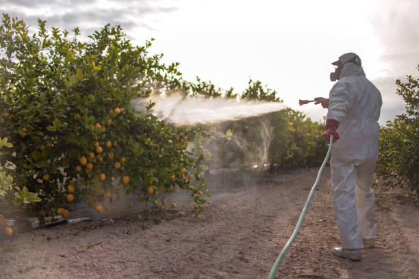 Best Pest Prevention Services  in Stonybrook, PA