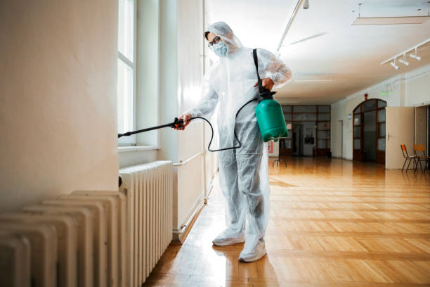 Best Flea Control Services  in Stonybrook, PA