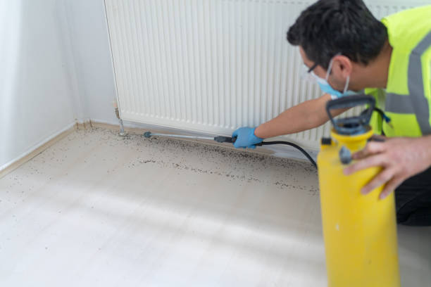 Best Ant Control Services  in Stonybrook, PA